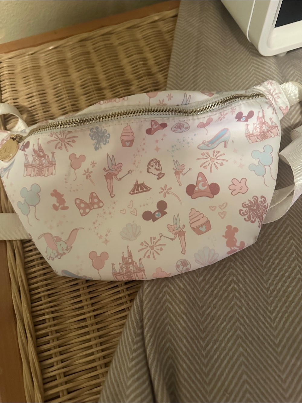 Disney Magic Kingdom Belt Bag